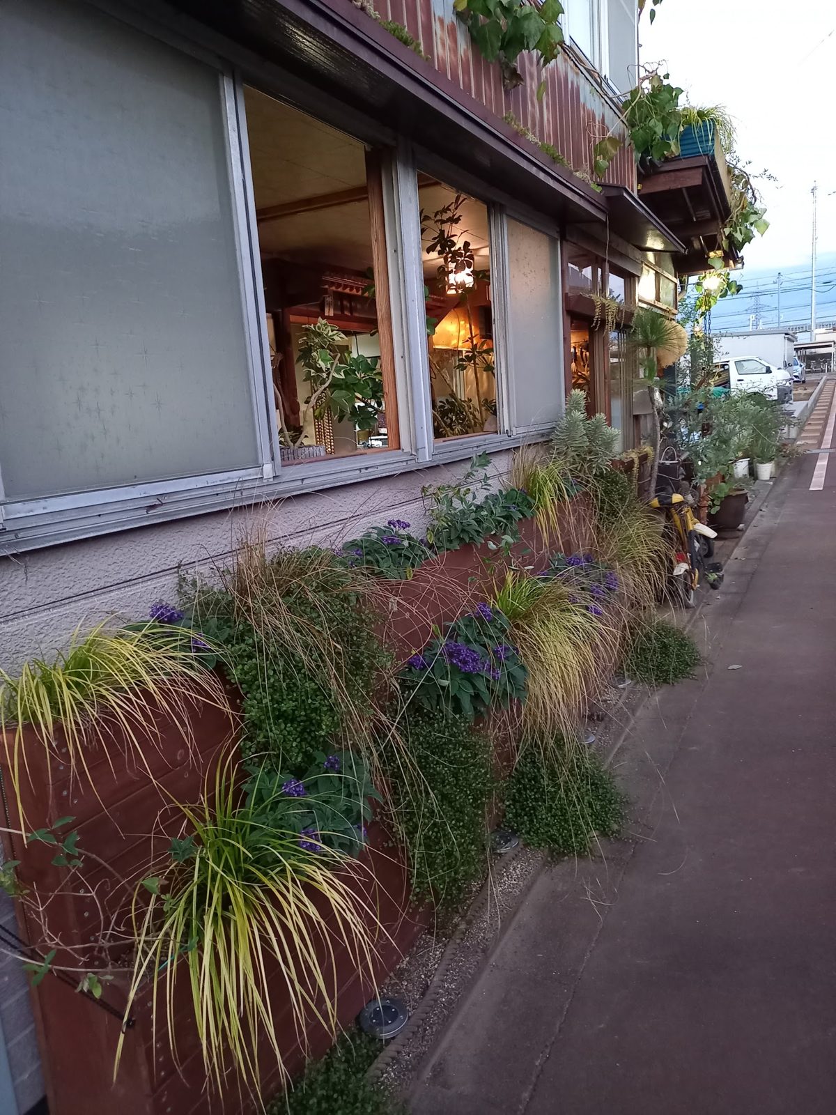 建物の前に植え込まれたグラス類や草花